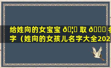 给姓向的女宝宝 🦉 取 🐛 名字（姓向的女孩儿名字大全2020）